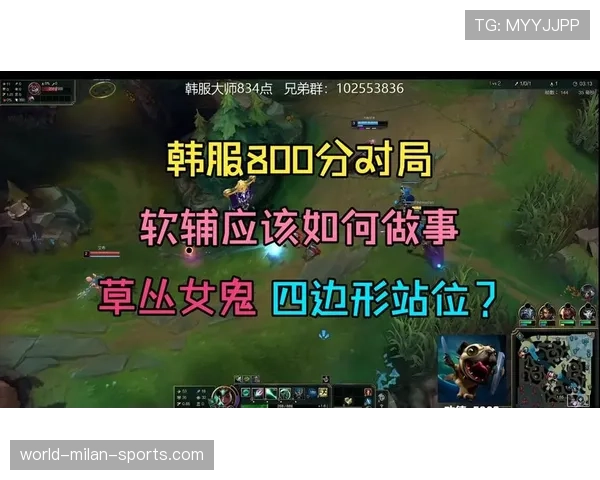 LOL 26.9英雄新思路：这种“惩戒流”软辅，在韩服高端局已经让打野位感到压力山大了。🧪